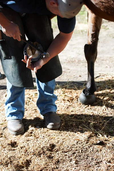 Hem Atın Hem Binicinin Güvenliği Çok Önemlidir Nalının Güvende Olduğundan — Stok fotoğraf