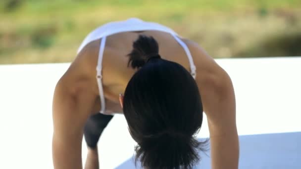 Fitness Žena Prkno Cvičení Venkovní Portrét Pro Wellness Zdravý Životní — Stock video