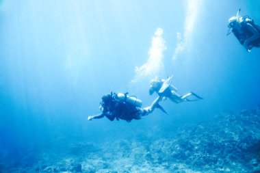 Dalgaların altında süzülüyordu. Üç scuba dalgıcı derin mavi okyanusu barışçıl bir şekilde keşfeder.