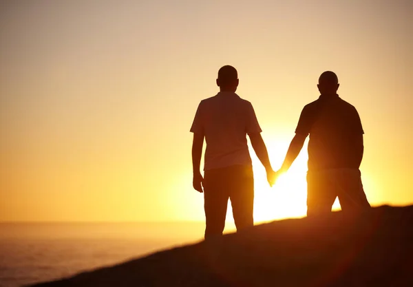 他是我的阳光 成熟的同性恋夫妇手牵着手观看日落 复制空间 — 图库照片