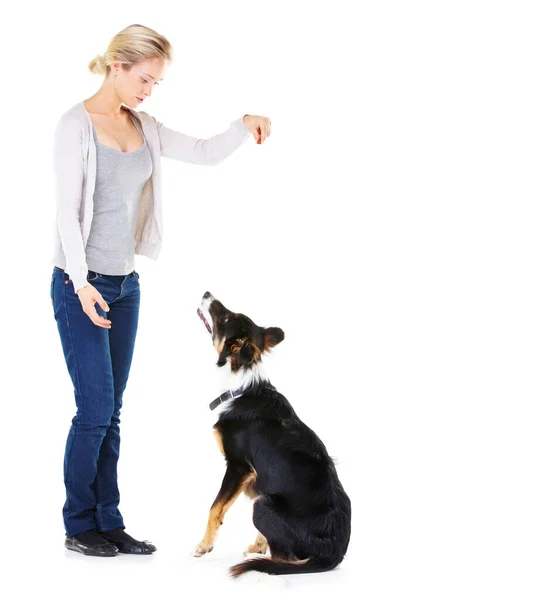 Buen Chico Foto Estudio Una Joven Con Perro Aislado Blanco — Foto de Stock