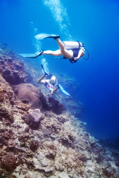 Explorando Profundezas Natureza Dois Mergulhadores Nadando Longo Borda Recife Deslumbrante — Fotografia de Stock