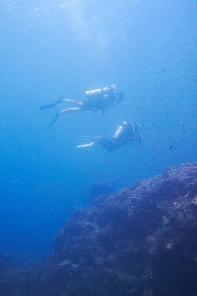 Ocean Explorers Divers Floating Large School Fish While Reef Copyspace — Stock Photo, Image