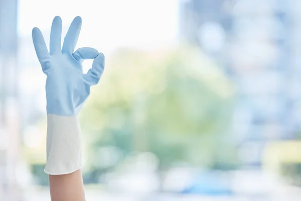 Eine Nicht Wiedererkennbare Hausangestellte Zeigt Das Symbol Während Sie Handschuhe — Stockfoto