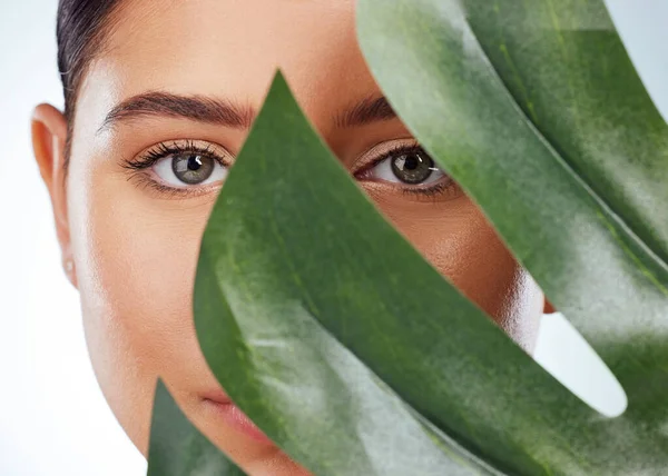 Closeup portrait of unknown woman covering her face with a green monstera plant leaf. Headshot of caucasian model posing against a grey background in a studio with smooth skin, fresh healthy skincare.
