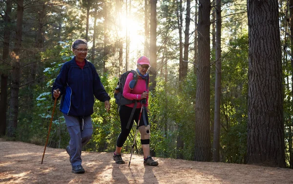 Les Fitness Starý Pár Turistiky Přírodě Trekking Hole Batohy Horské — Stock fotografie