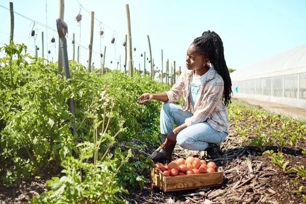 Besorgter Landwirt Überprüft Bodenqualität Unsicherer Landwirt Prüft Schmutzqualität Jungbauer Erntet — Stockfoto