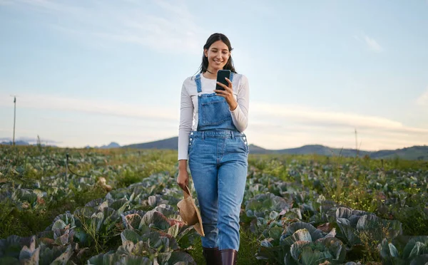 Woman farmer looking at her smartphone while standing in a cabbage field. Young brunette female with a straw hat using her mobile device on an organic vegetable farm.
