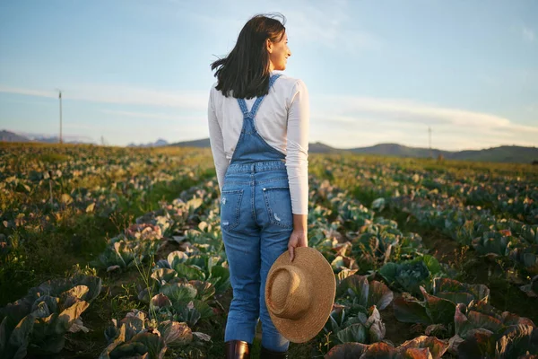 Woman farmer standing in a cabbage field on a farm. Young brunette female brunette with a straw hat and rubber boots looking over a field of organic vegetables.