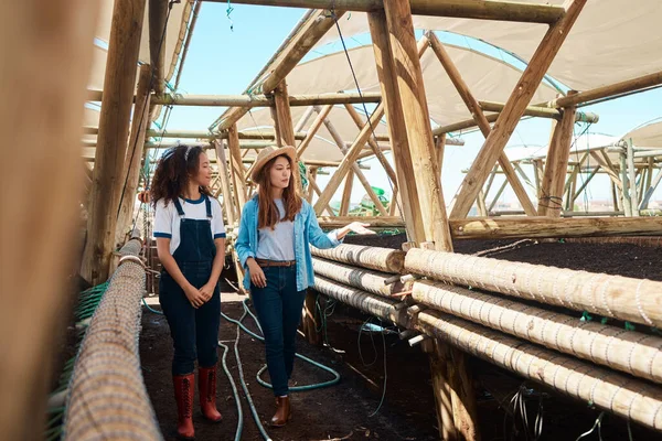 Every farm production should set an irrigation system. two young women working together on a farm