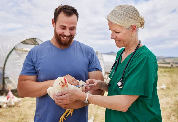 Protože Zdravá Kuřata Jsou Produktivnější Výnosnější Veterinární Lékař Podávající Injekci — Stock fotografie