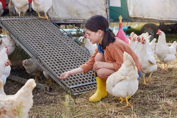 I love feeding the chickens. an adorable little girl helping out on a poultry farm
