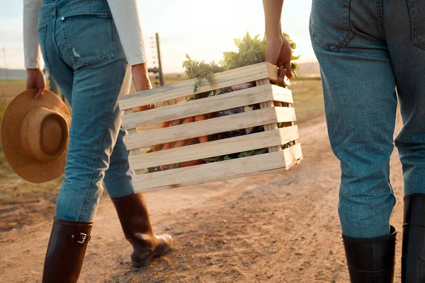 Agriculture is the noblest of all alchemy. two unrecognizable farmers carrying a crate on a farm