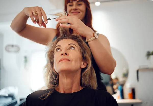 Cliente do sexo feminino feliz usando secador de cabelo no salão de  cabeleireiro. mulher sentada na cadeira no hairsalon. negócios de moda e  beleza, serviços profissionais