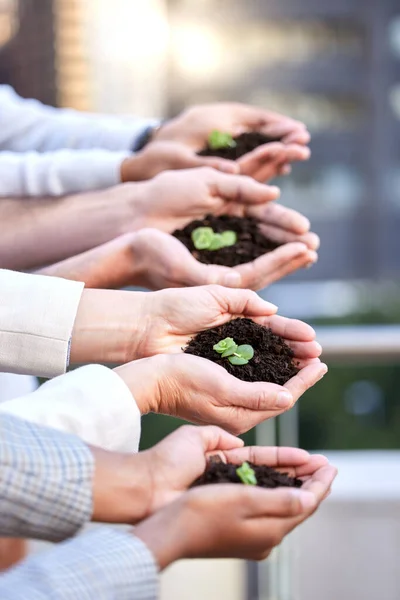 Cuidar Algo Ajuda Crescer Grupo Empresários Irreconhecíveis Que Detêm Plantas — Fotografia de Stock