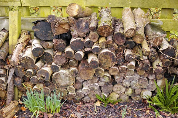 冬の薪の準備 森の中の薪のスタック 薪の背景 樹液と刻んだ木 積層木ログ Firewood — ストック写真