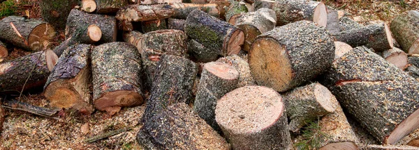 겨울을 장작을 준비하고 장작을 방화벽 잘게썬 나무들 Stacked Wood Logs — 스톡 사진