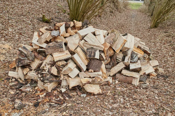 冬の薪の準備 森の中の薪のスタック 薪の背景 樹液と刻んだ木 積層木ログ Firewood — ストック写真