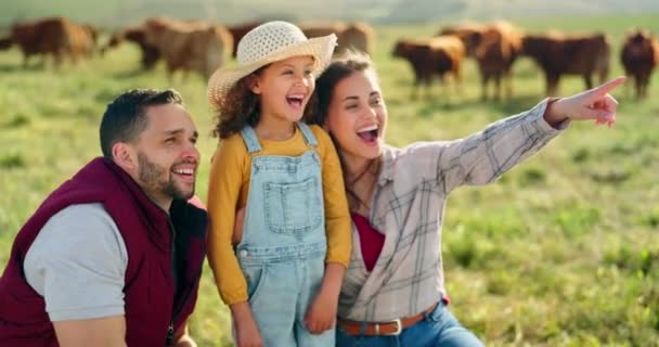 牛の農場で幸せな家族の絆 笑って 自然界の動物について学ぶ オープンフィールドで屋外でリラックスし 楽しみ 探検している家族と両親 女の子と農業 — ストック動画