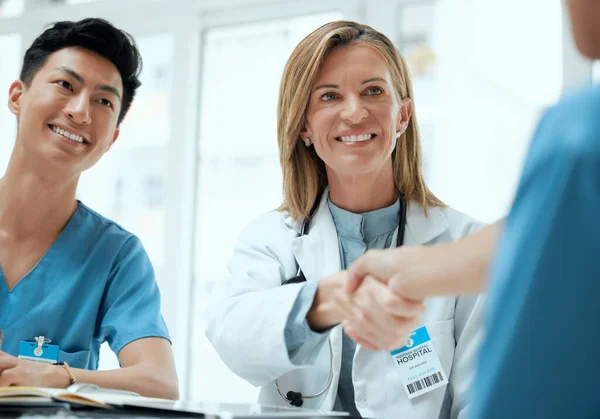 她是你的新导师 两名医生在医院的一个会议上握手 — 图库照片