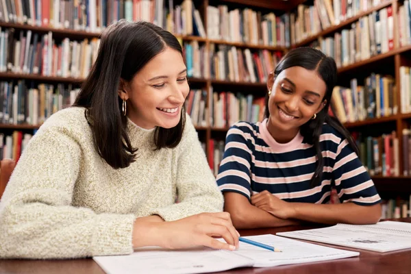 ノートを比較しましょう 2人の若い女性学生が大学の図書館で一緒に勉強し — ストック写真