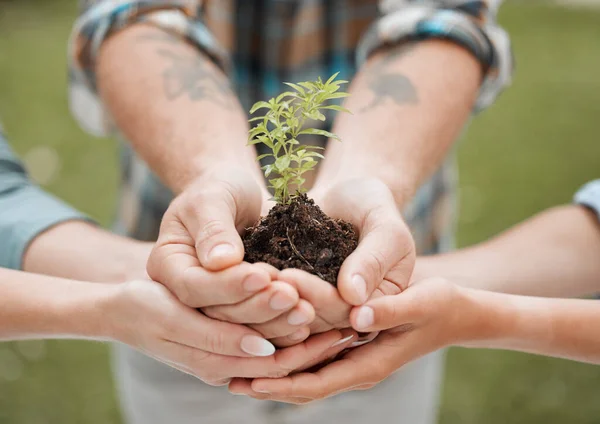 A future on our hands. a unrecognisable person holding a plant growing out of soil