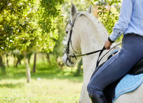 Essential Joy Being Horses Unrecognizable Female Riding Horse Forest — Stock Photo, Image