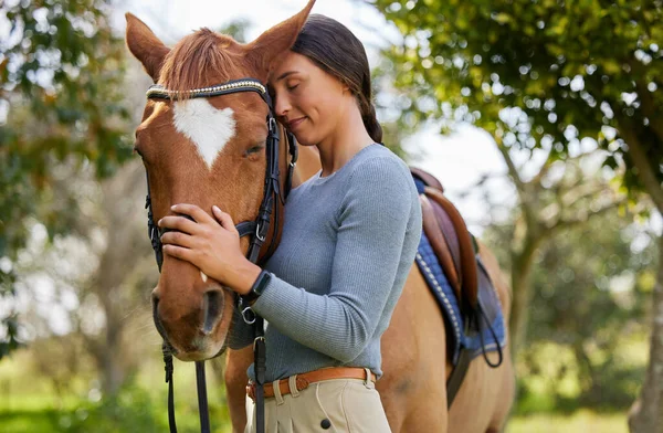 Een Mooi Paard Altijd Een Belevenis Een Aantrekkelijke Jonge Vrouw — Stockfoto