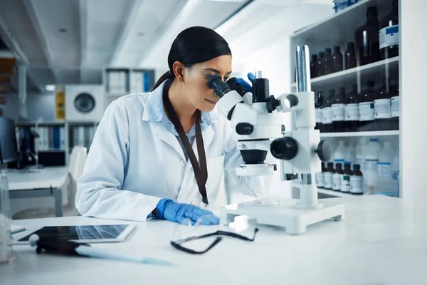 Hallo Meine Mikroskopisch Kleinen Freunde Ein Junger Wissenschaftler Unter Dem — Stockfoto