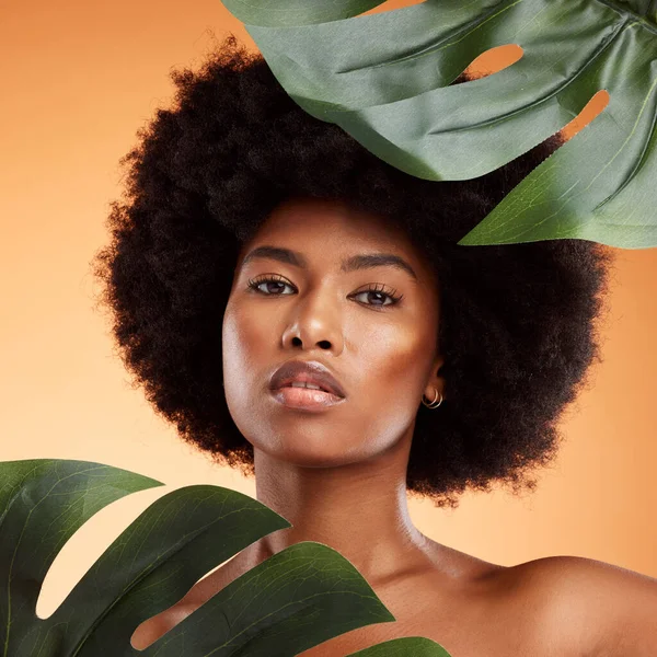 Beauty, skincare and palm leaf with a model black woman in studio on an orange background for health or wellness. Cosmetics, face and portrait with an attractive young female posing for natural care.