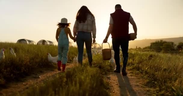 农民家庭 农场和联系母亲 父亲和女孩的环境或农村可持续农业领域 日落时走在农业家禽或鸡场上的人和小孩 — 图库视频影像