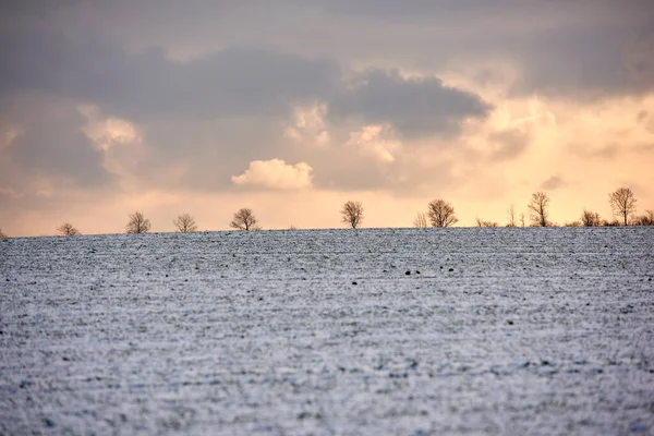 Wintertime Countryside Denmark Danish Farmland Wintertime — Stockfoto