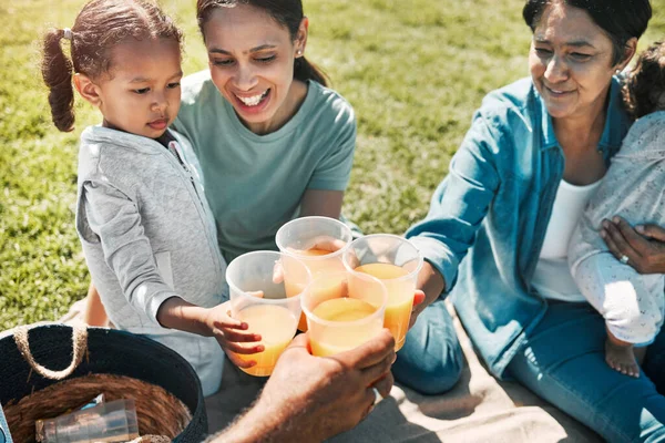 Piknik Park Szczęśliwa Rodzina Wiwatują Sokiem Zacieśniają Więzi Cieszą Się — Zdjęcie stockowe