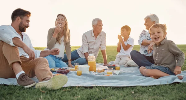 Aşk Piknik Aile Mutluluğu Insanların Gülümsemesi Parkta Tarlada Rahatlaması Kaynaşması — Stok fotoğraf