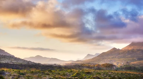 Wilderness Cape Point National Park Wilderness Cape Point National Park — Zdjęcie stockowe