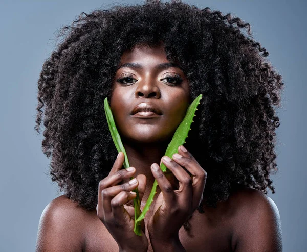 The best ingredients come from nature. a beautiful young woman posing with an aloe vera plant against her skin