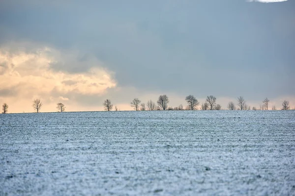 Wintertime Countryside Denmark Danish Farmland Wintertime — ストック写真