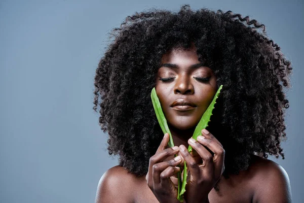 自然は心と体と魂を癒します アロエベラの植物を肌に突きつけた美しい若い女性が — ストック写真
