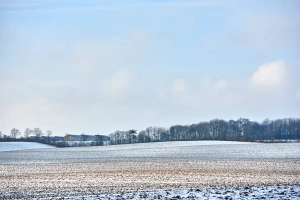 Wintertime Countryside Denmark Danish Farmland Wintertime — 스톡 사진