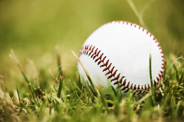 Baseball Sport Palla All Aria Aperta Natura Sull Erba Allenamento — Foto Stock