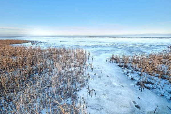 Danish Winter Landscape Coast Kattegat Photos Danish Winter Coast Kattegat — 스톡 사진