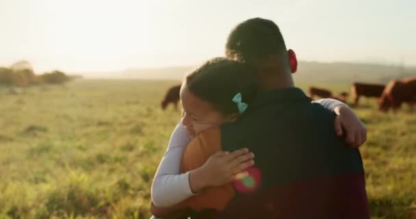 拥抱一个父亲和一个女孩在一个牧场的野外牧场 日落时分 牧场或户外牧场上的农场 农业和奶制品行业的牛农和幼童 — 图库视频影像