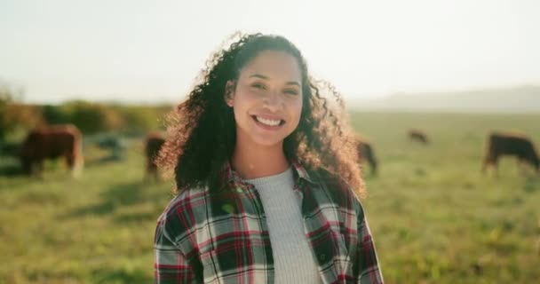 Kráva Šťastná Žena Farmář Dobytčí Farmě Sklízet Organické Krávy Maso — Stock video