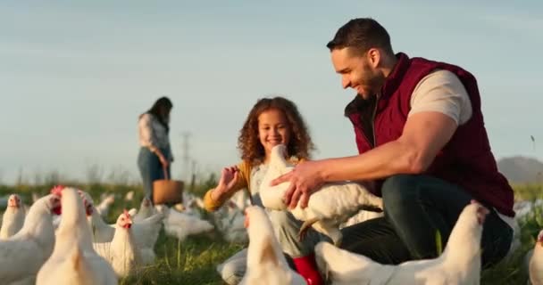 Madre Padre Hijo Con Pollo Una Granja Jugando Divertirse Cultivando — Vídeos de Stock