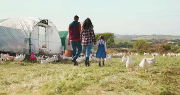 Aile Anne Baba Doğada Bir Tavuk Çiftliğinde Birlikte Yumurta Kümes — Stok video