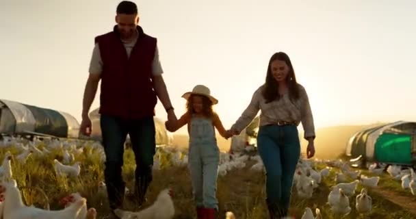 Ayam Peternakan Dan Cinta Keluarga Dan Bahagia Bersama Sama Ikatan — Stok Video