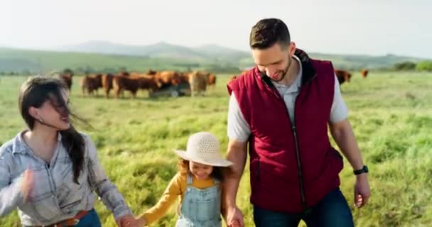 農家の家族 牛の農場 フィールドウォークは 自然とつながり 会話を楽しみ リラックスしています 持続可能なビジネス 幸せな家族が田舎で楽しんでいます — ストック動画