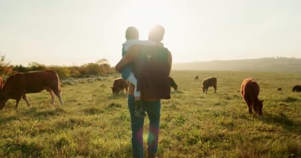 农场和牲畜 以及女孩和父亲在农场或草地上散步的牲畜 可持续性和农业 由一名男子 农民和女儿照料奶牛 — 图库视频影像