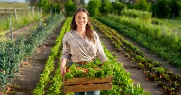 女农民 农业蔬菜在箱中 农业和新鲜农产品 有机和收获 年轻快乐的肖像画 农场和乡村 自然和环境 绿色和可持续性 — 图库视频影像