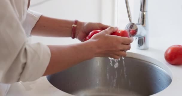 在家里 一个女厨师在厨房的盆子里为蔬菜洗碗 她的手 西红柿和洗碗 食物和烹调 由一名女厨师在水槽里冲洗产品 以达到健康或节食的目的 — 图库视频影像